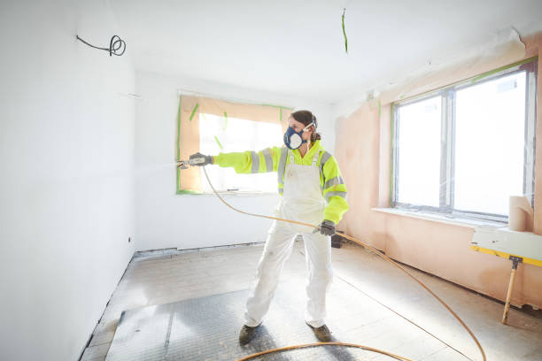 Best Mold Odor Removal Services  in Freeport, IL