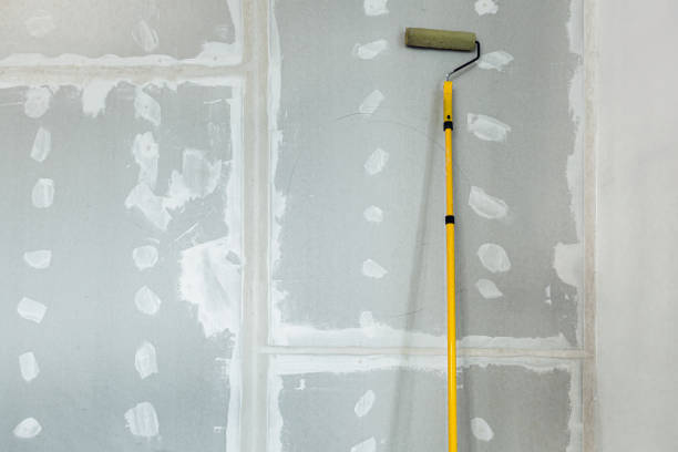 Best Air Quality Testing for Mold Spores  in Freeport, IL
