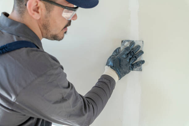Best Basement Mold Removal  in Freeport, IL