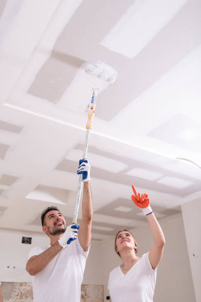Best Water Damage & Mold Remediation  in Freeport, IL