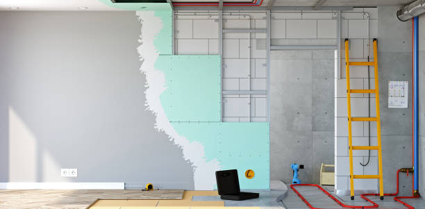 Best Real Estate Mold Inspection  in Freeport, IL