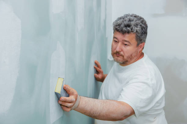 Best Emergency Mold Remediation  in Freeport, IL