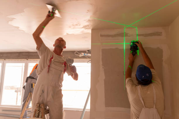 Reliable Freeport, IL Mold Removal Solutions