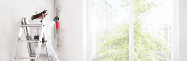 Best Forensic Mold Investigation  in Freeport, IL