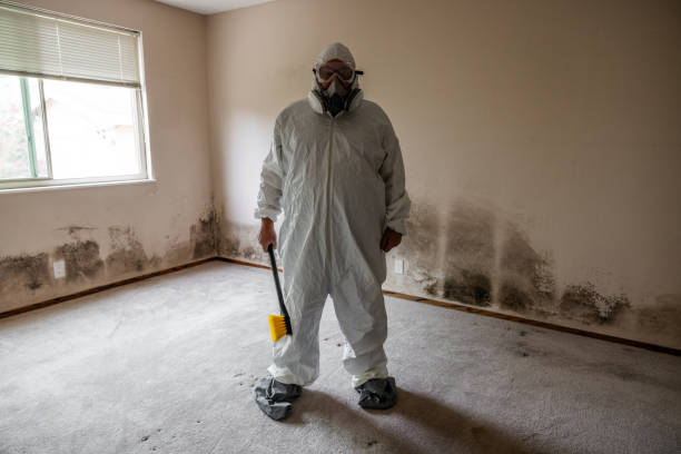 Best Post-Remediation Verification Testing  in Freeport, IL