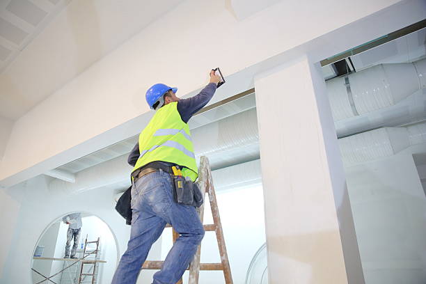Best Dehumidification Services  in Freeport, IL
